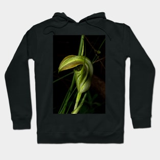 Cobra Greenhood Hoodie